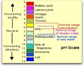 Vinegar Acidity Chart
